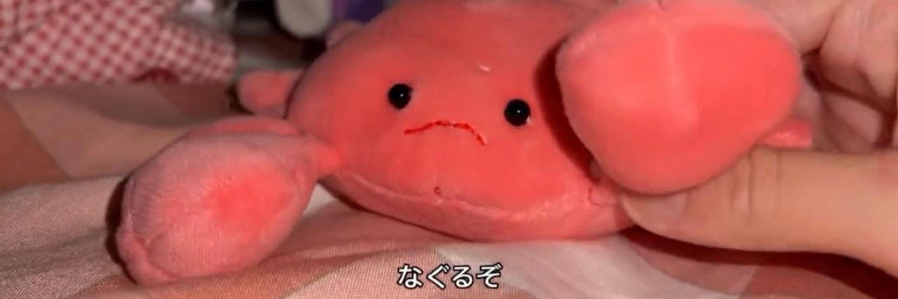 学畜