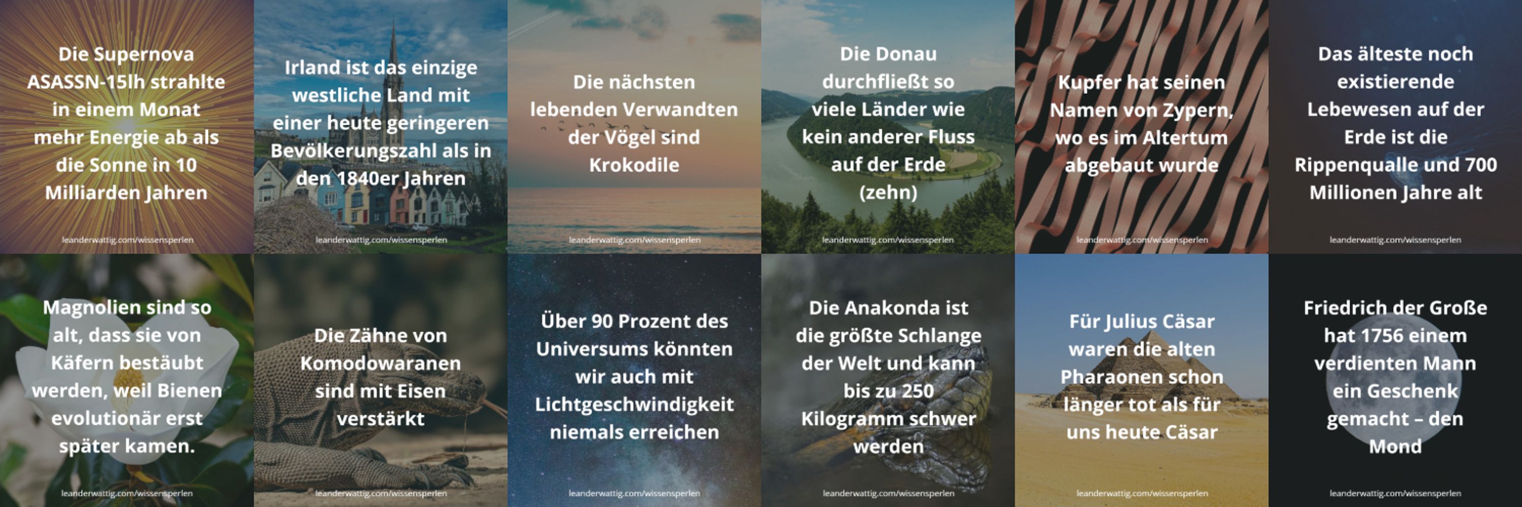 Wissensperlen