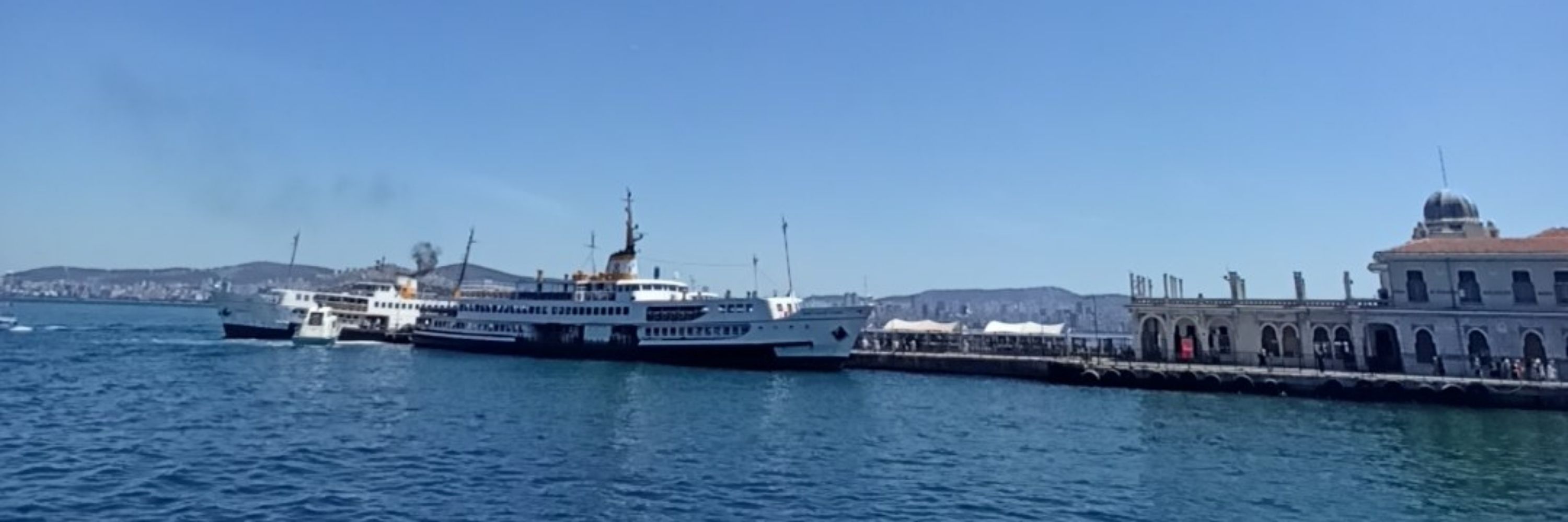ALİ YILDIRIM