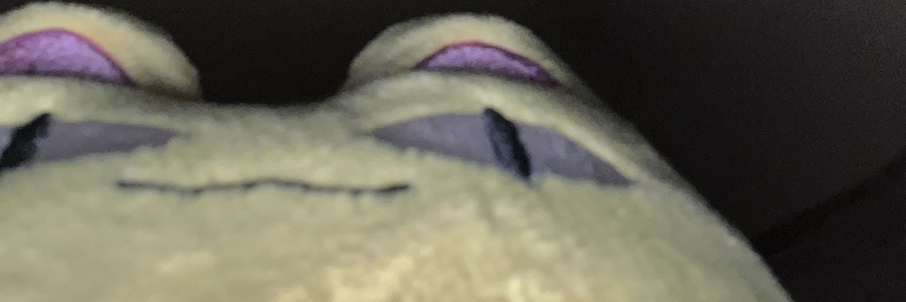 Joe Roo