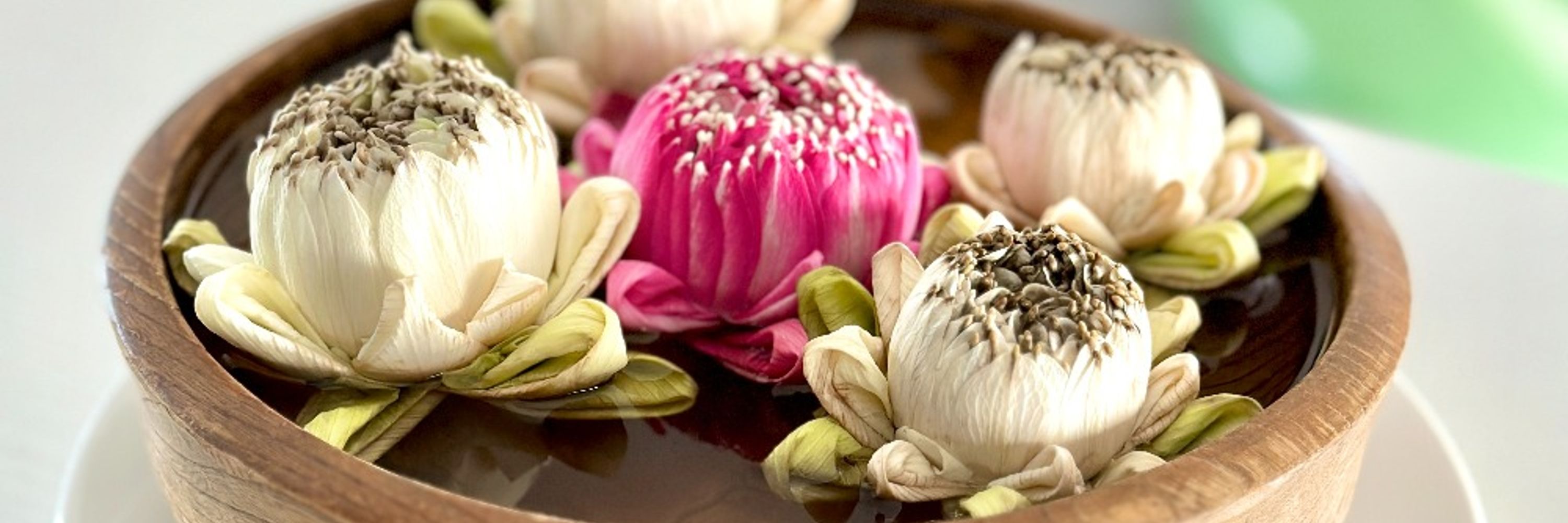 Lotus Design 🇰🇭 Cambodia