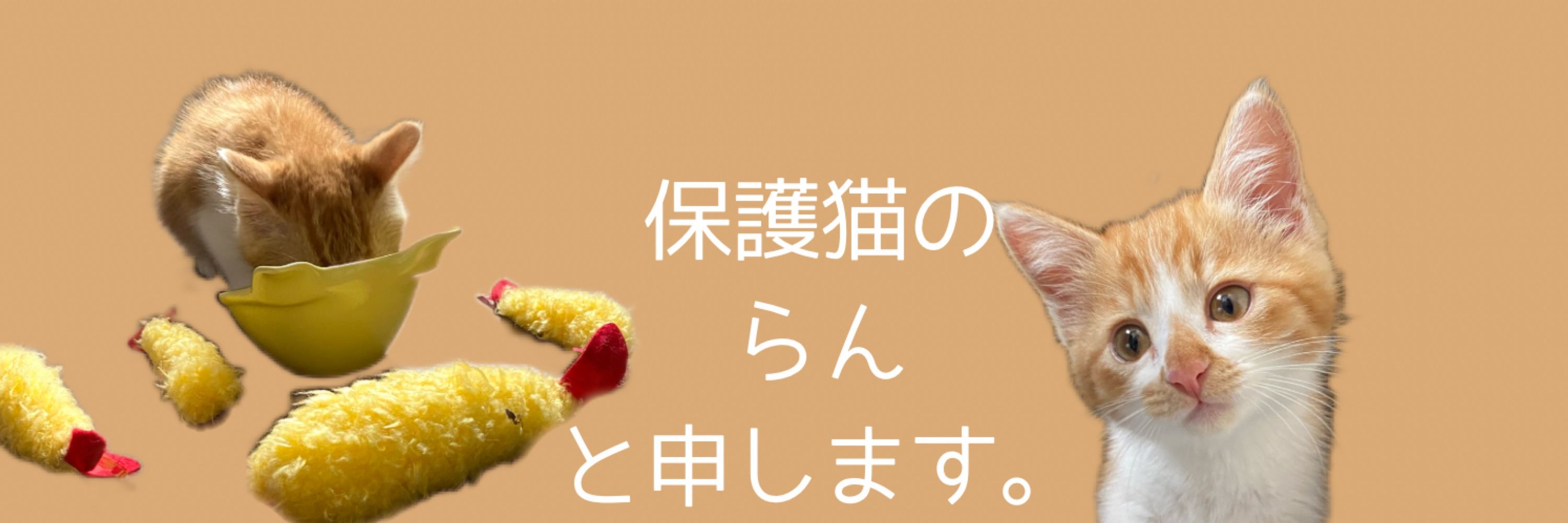 らん（RUN)