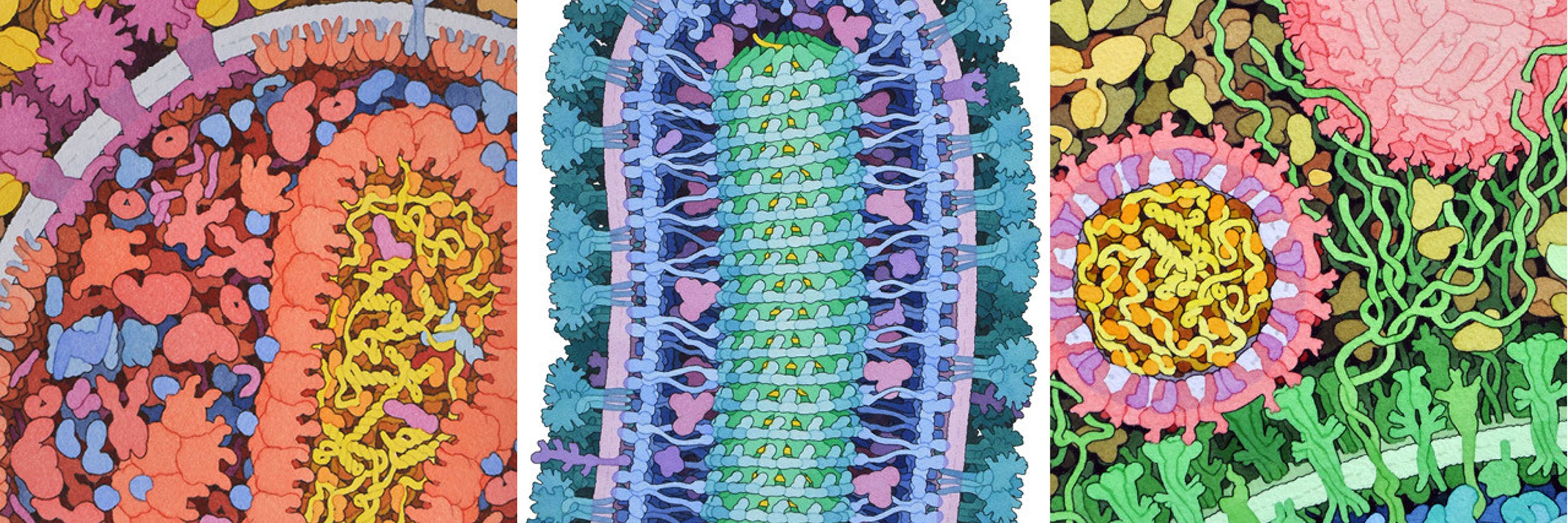 Cingöz Lab