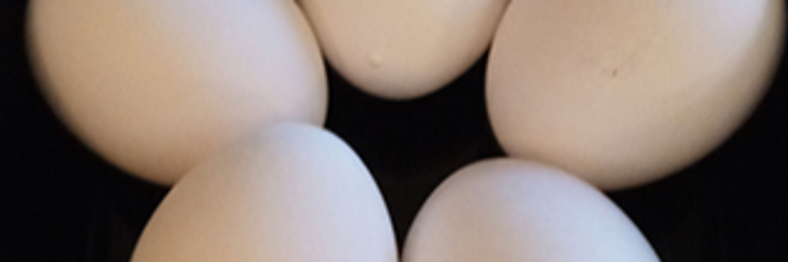 5 Eggs