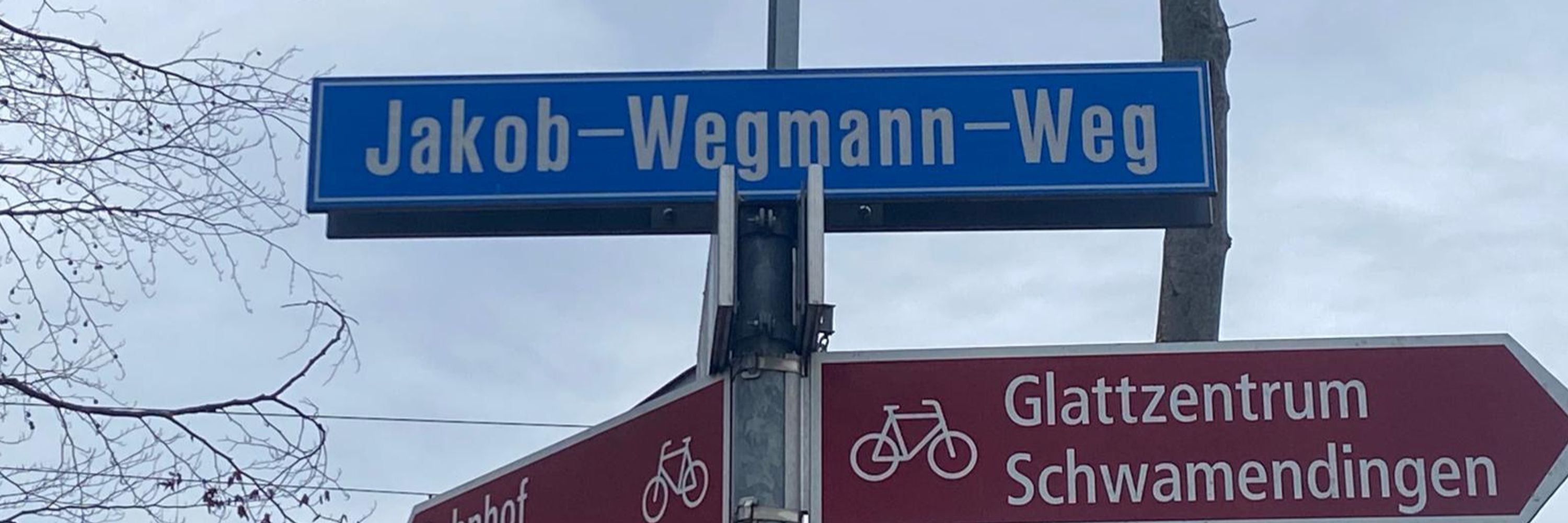 Jakob Wegmann