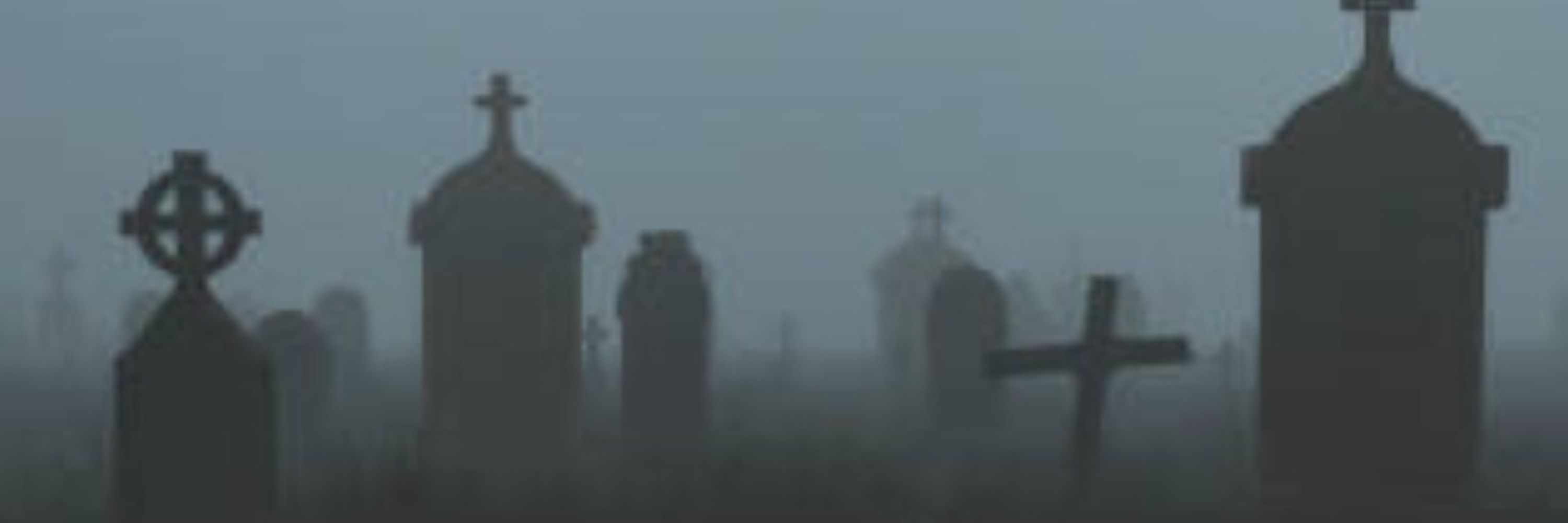 Leon_van_Corvin