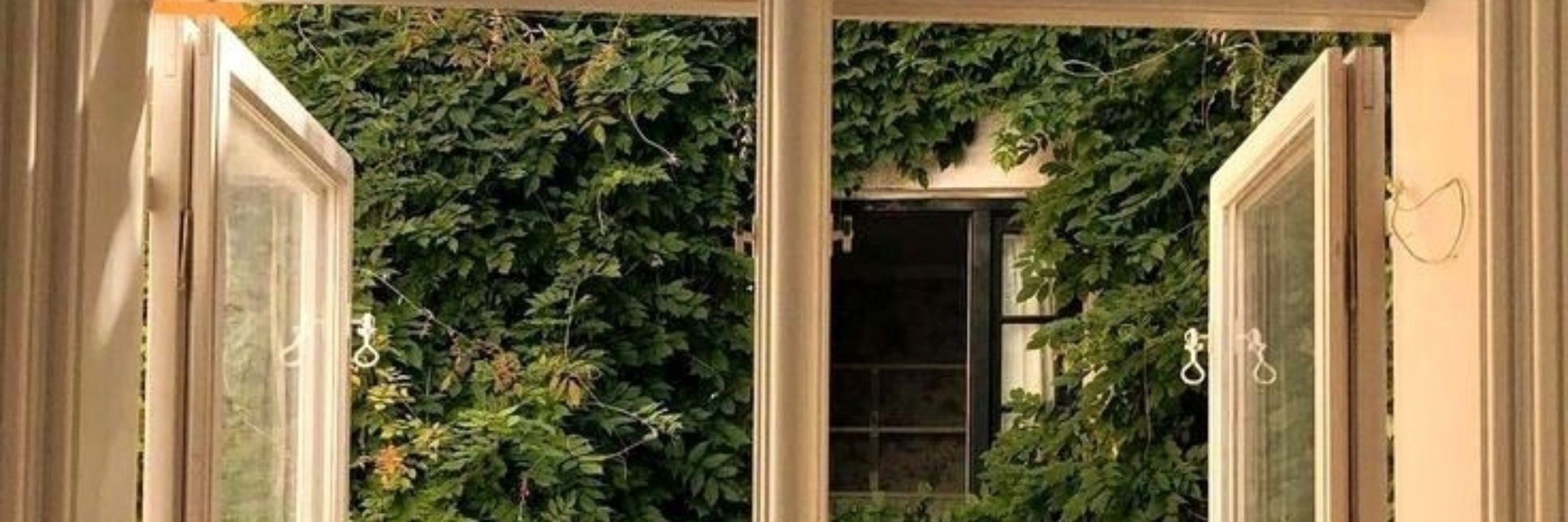 Jee`