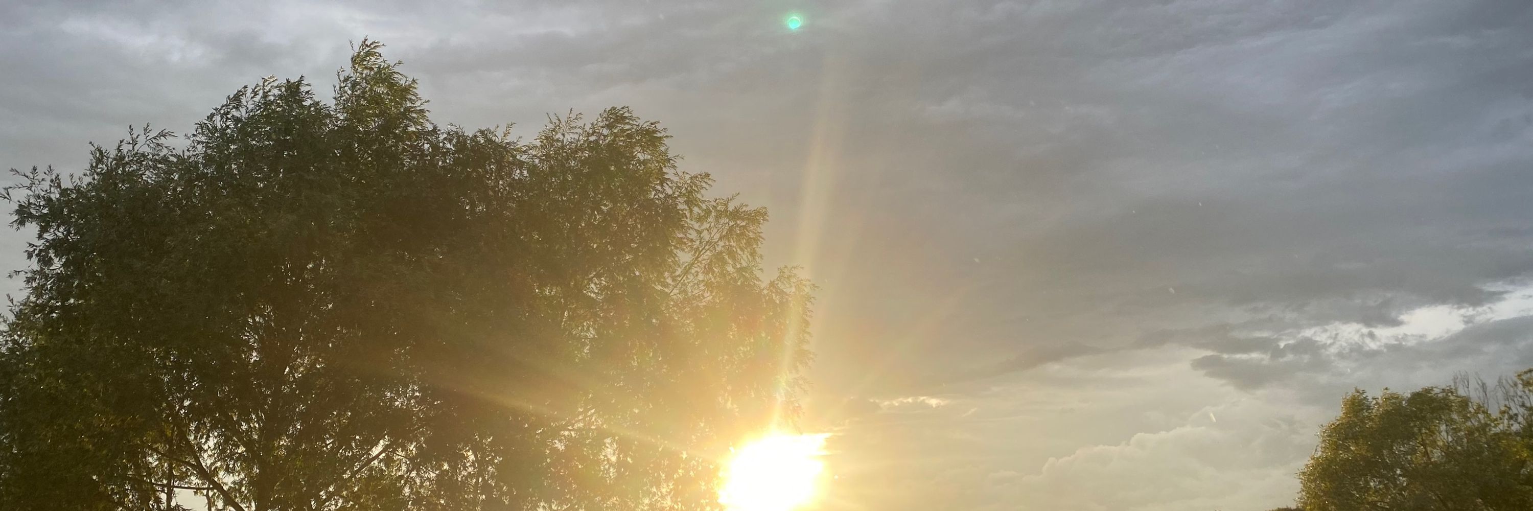 AuroraFox