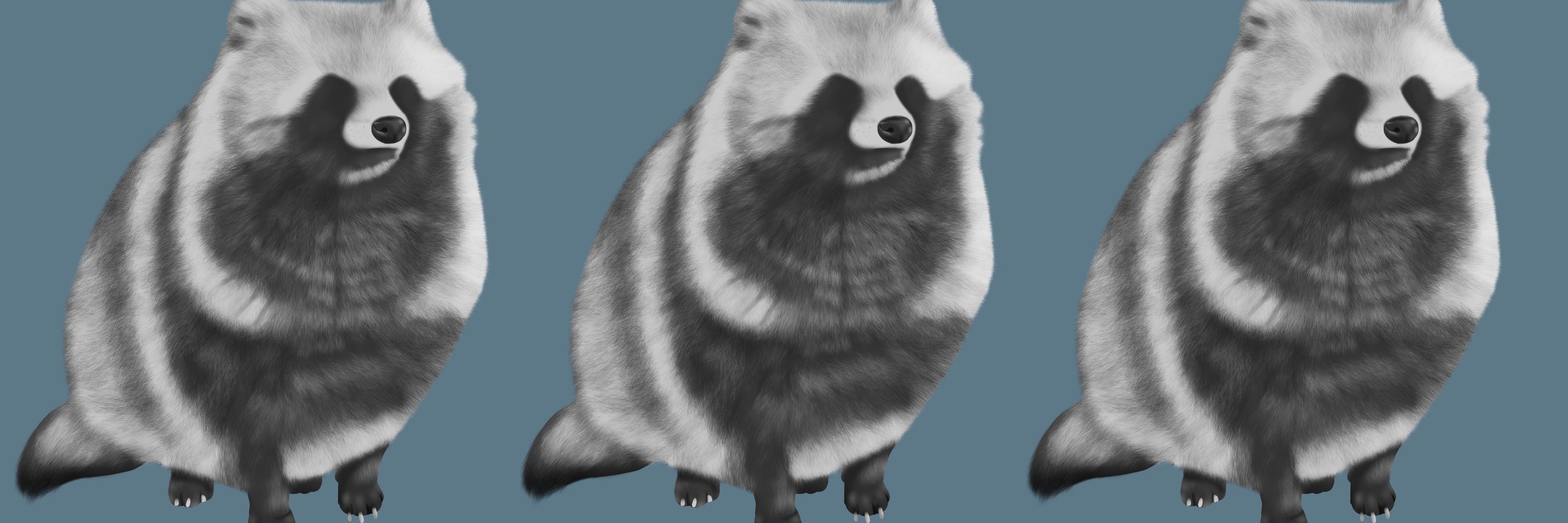 南たぬき