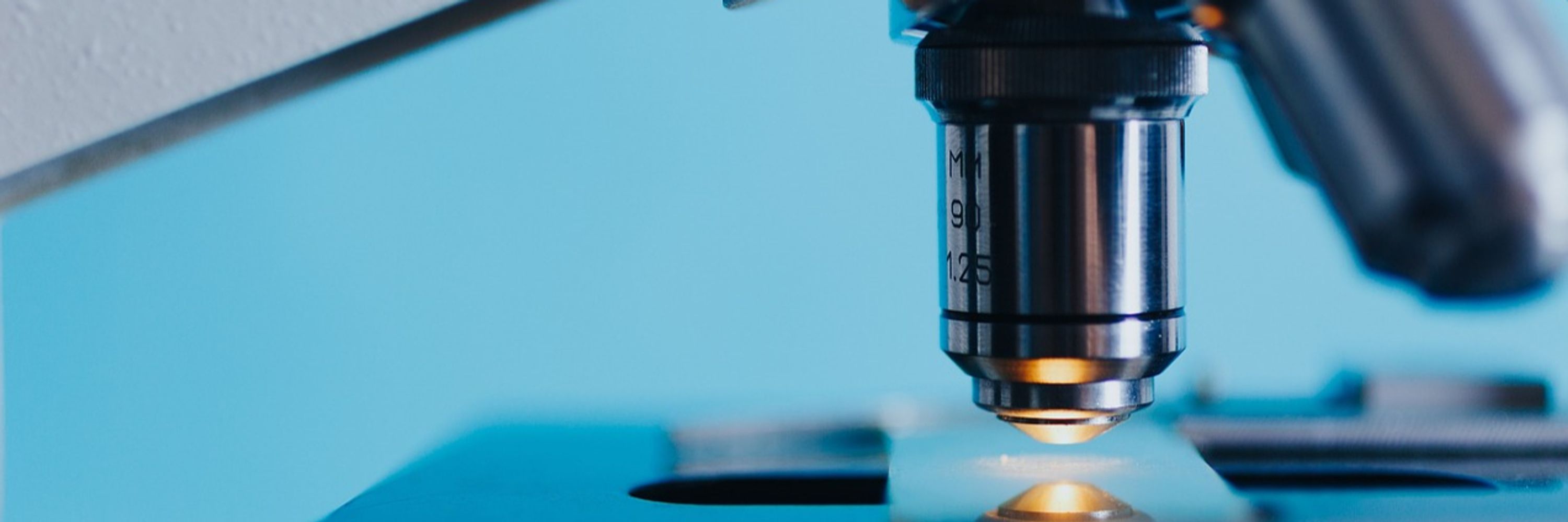 The British Society for Antimicrobial Chemotherapy