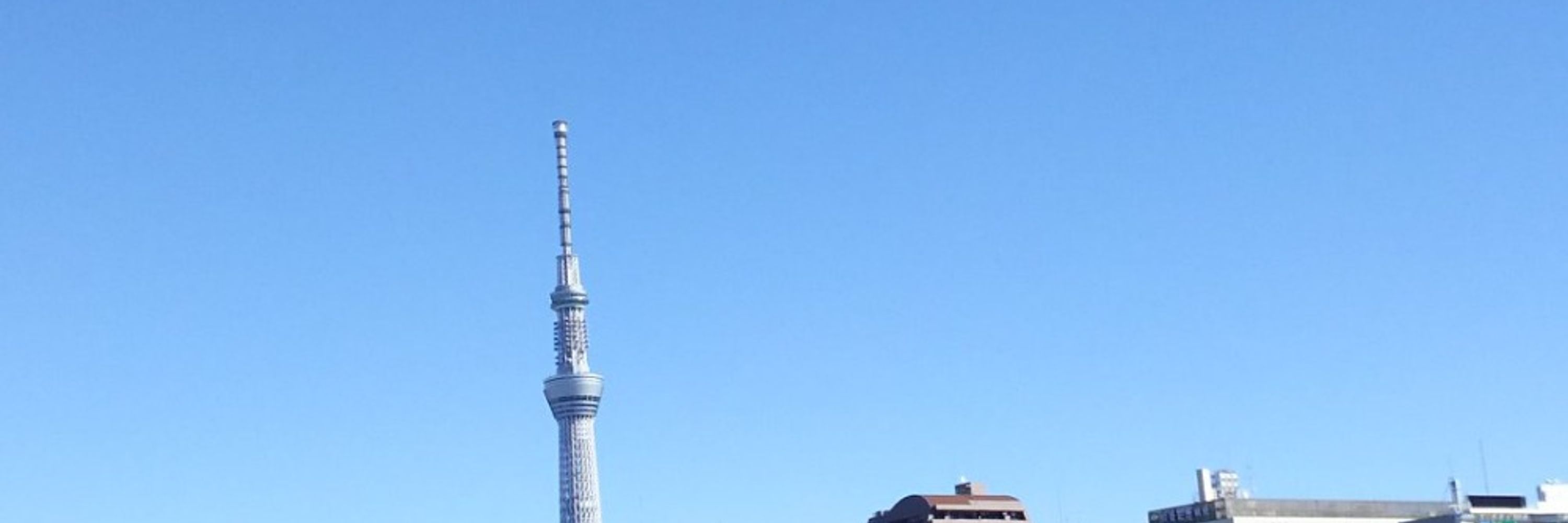 フジサキタケト
