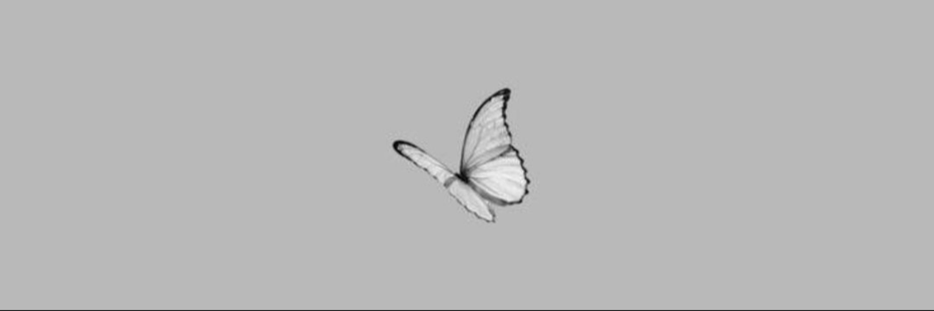 Andressa🦋