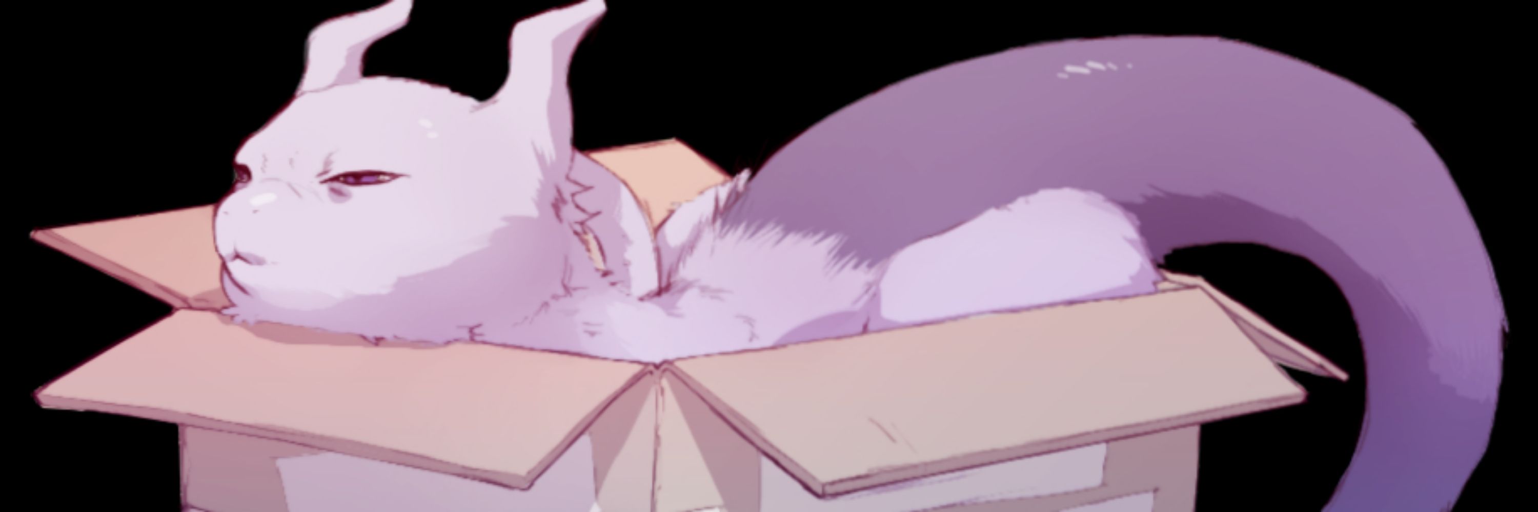 SmugKitten