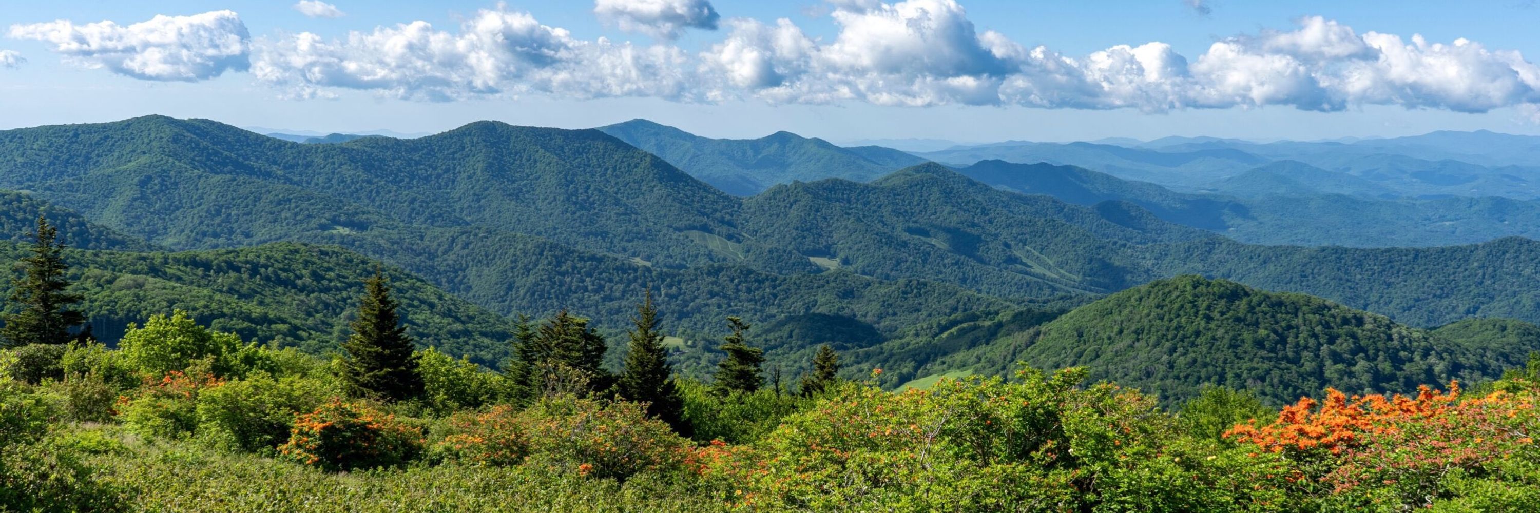 NC Writers' Network
