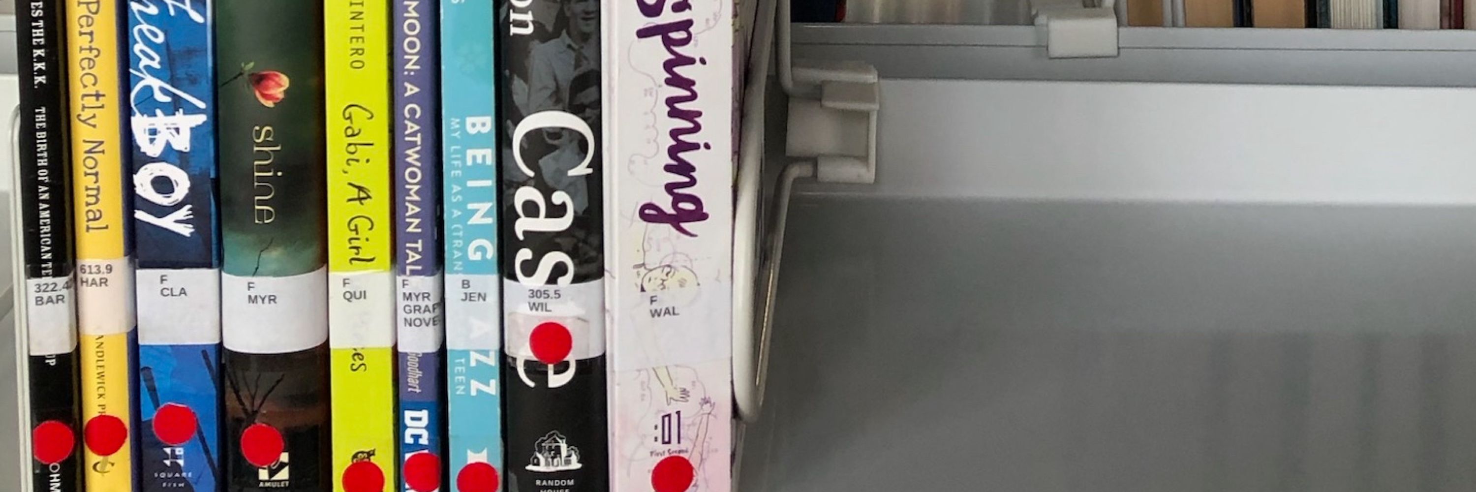 I Fight For Books