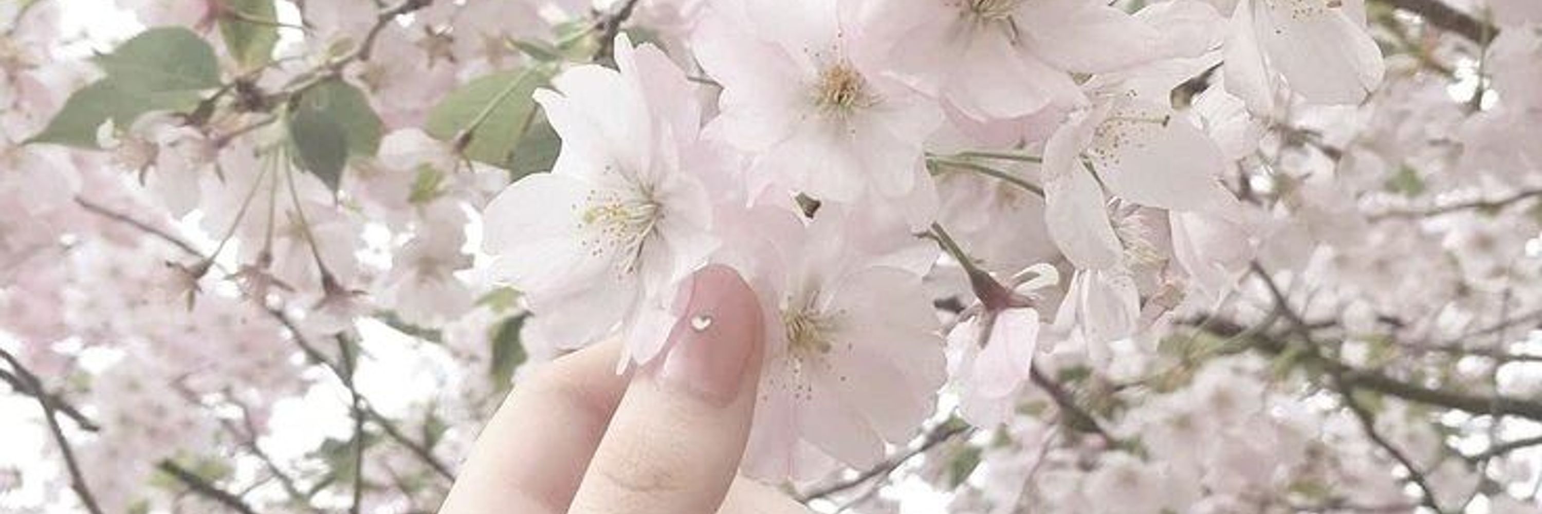 𝓂𝒾𝓀𝑜 ೀ⋆