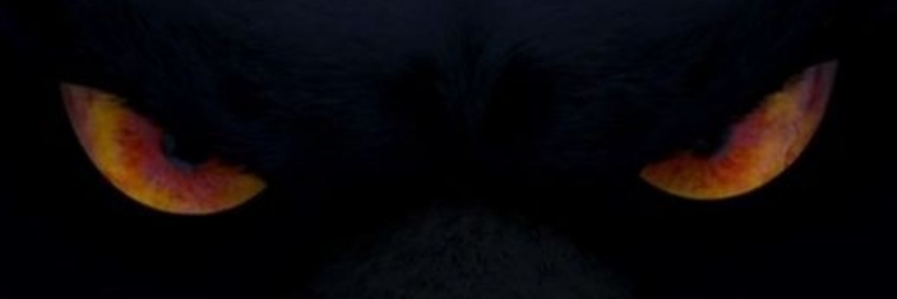 Gucegu 