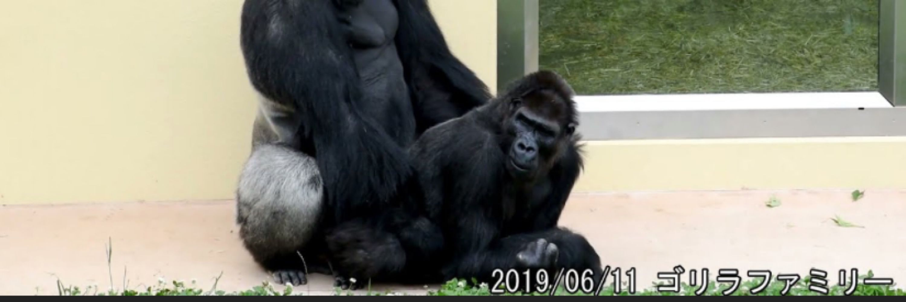 失われた10支族を探そう