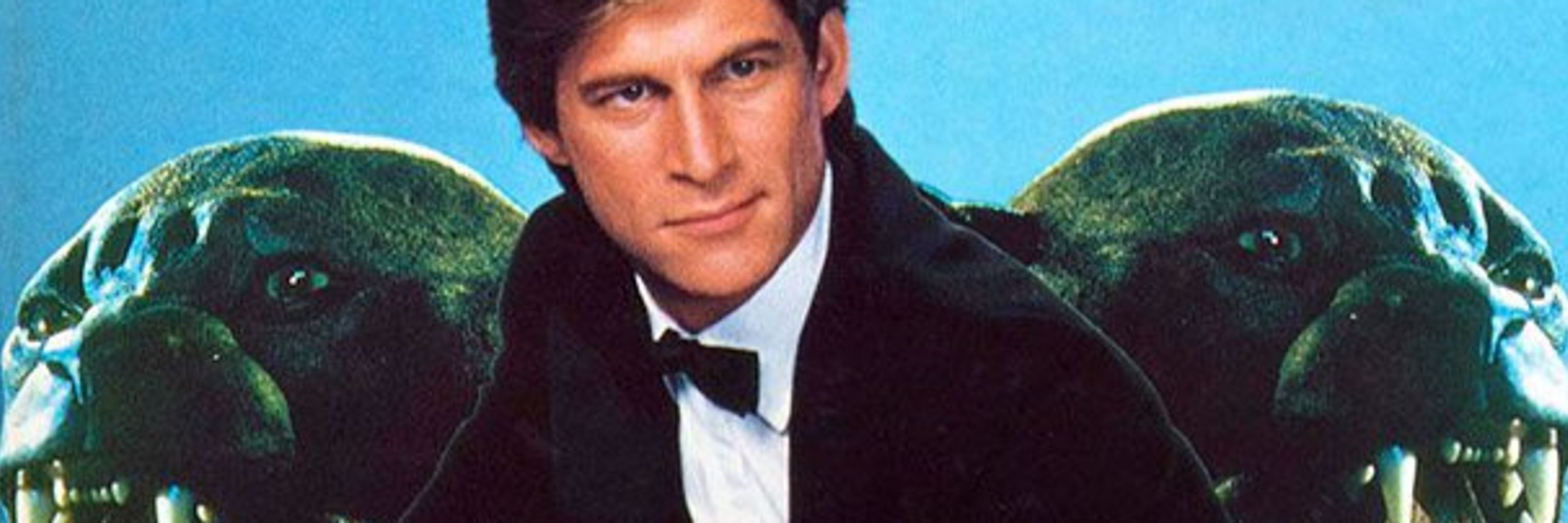 Steve Palace