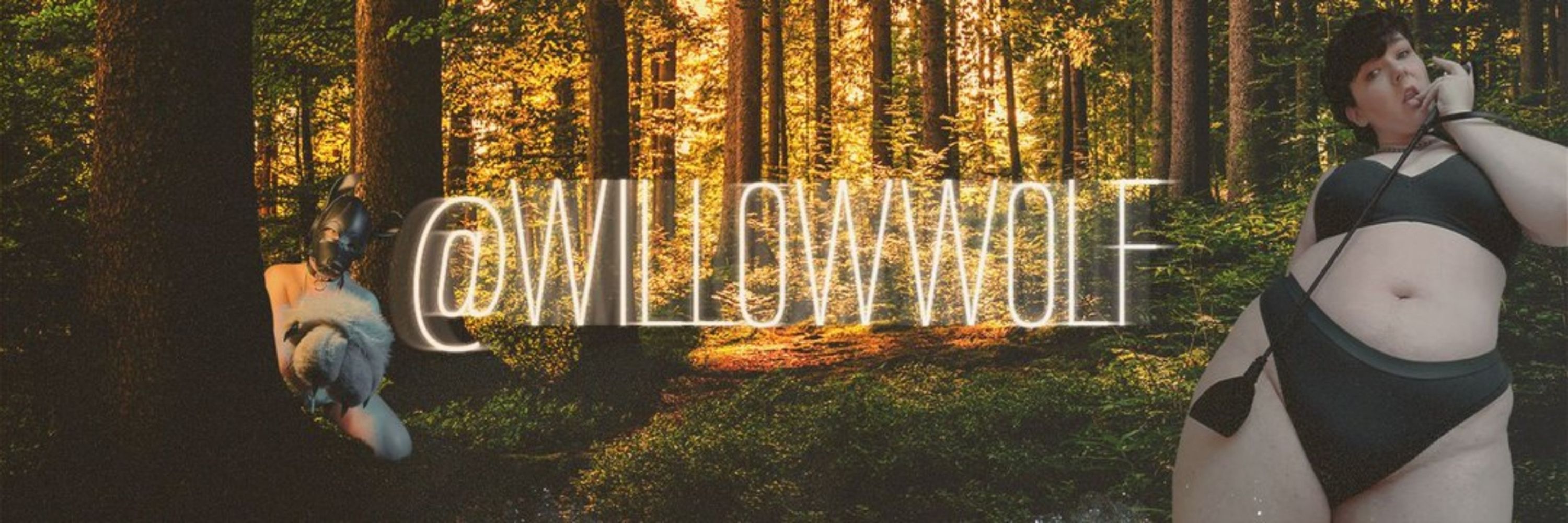 willow 🌿