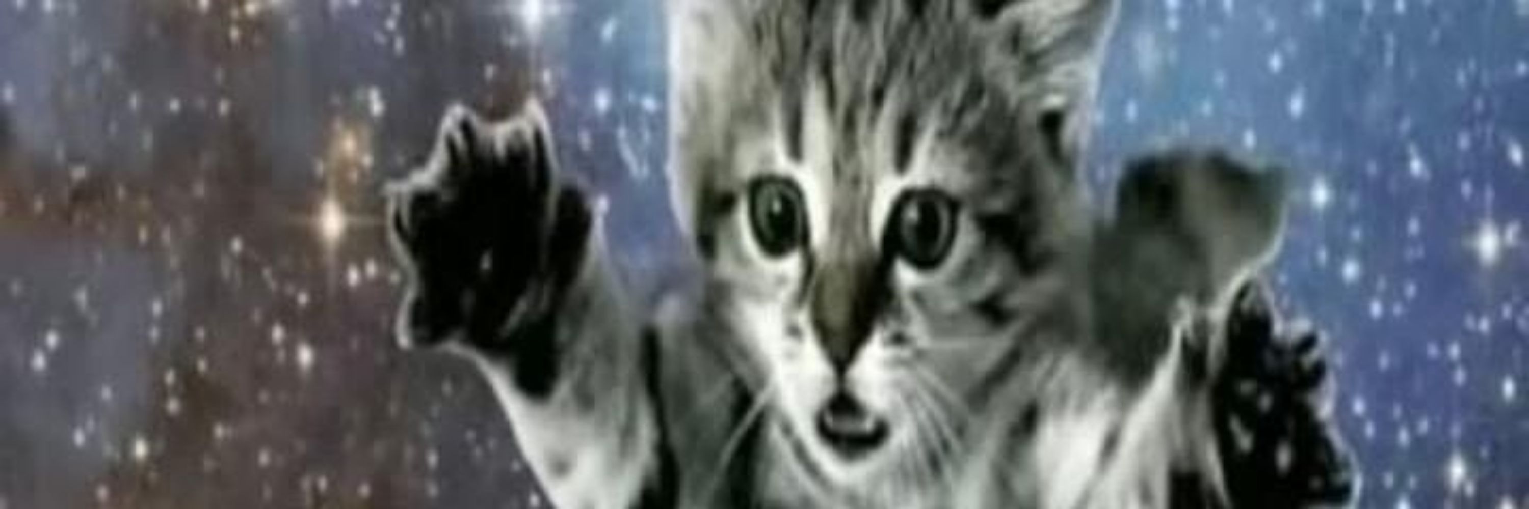 azzypantslover69