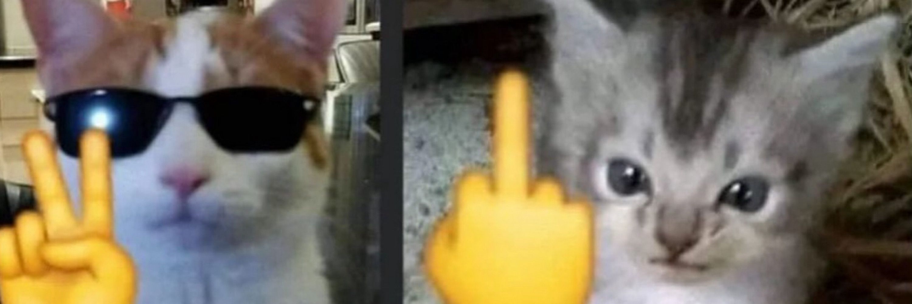 kaka