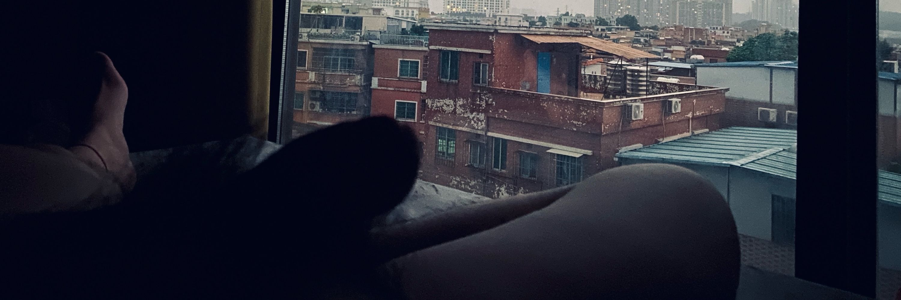 牛牛