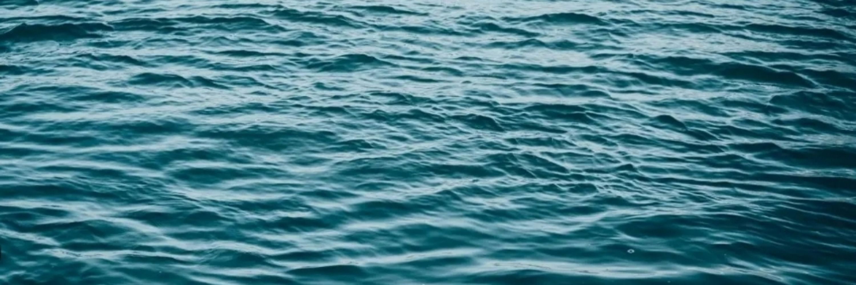 ordinary fish
