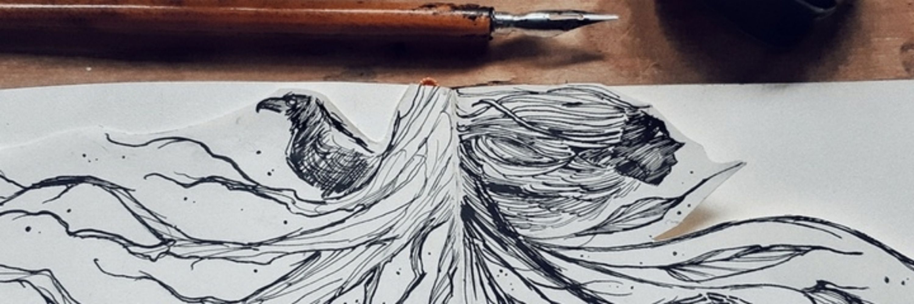 Drawing Wolf