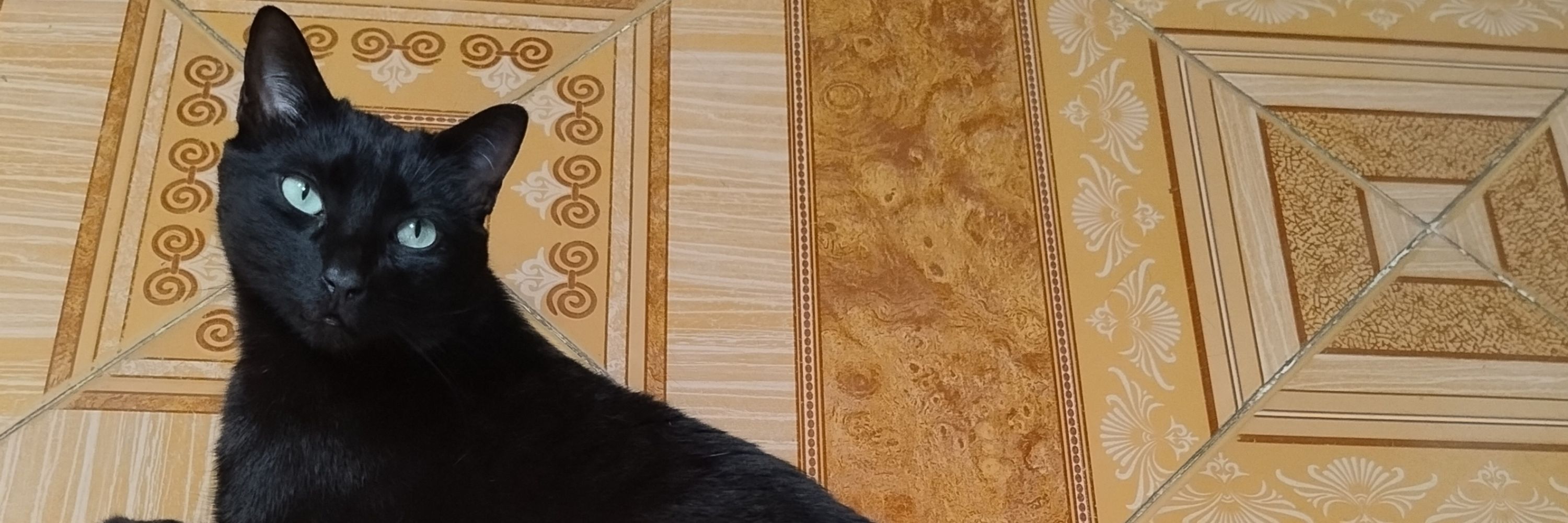 Emilio
