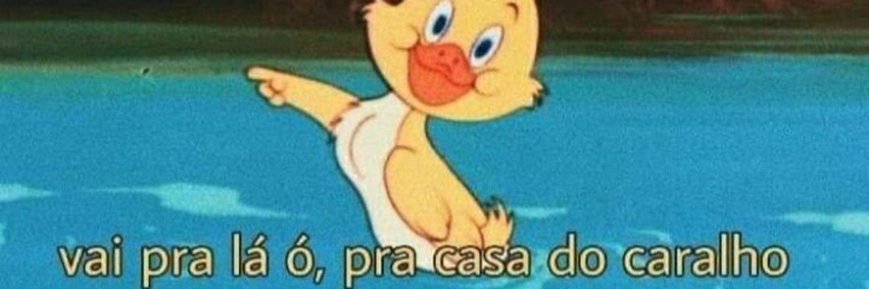 Vivi⁵⁵