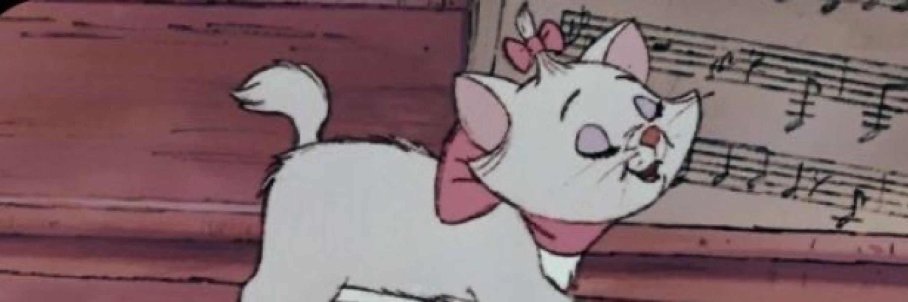 suki 🎀