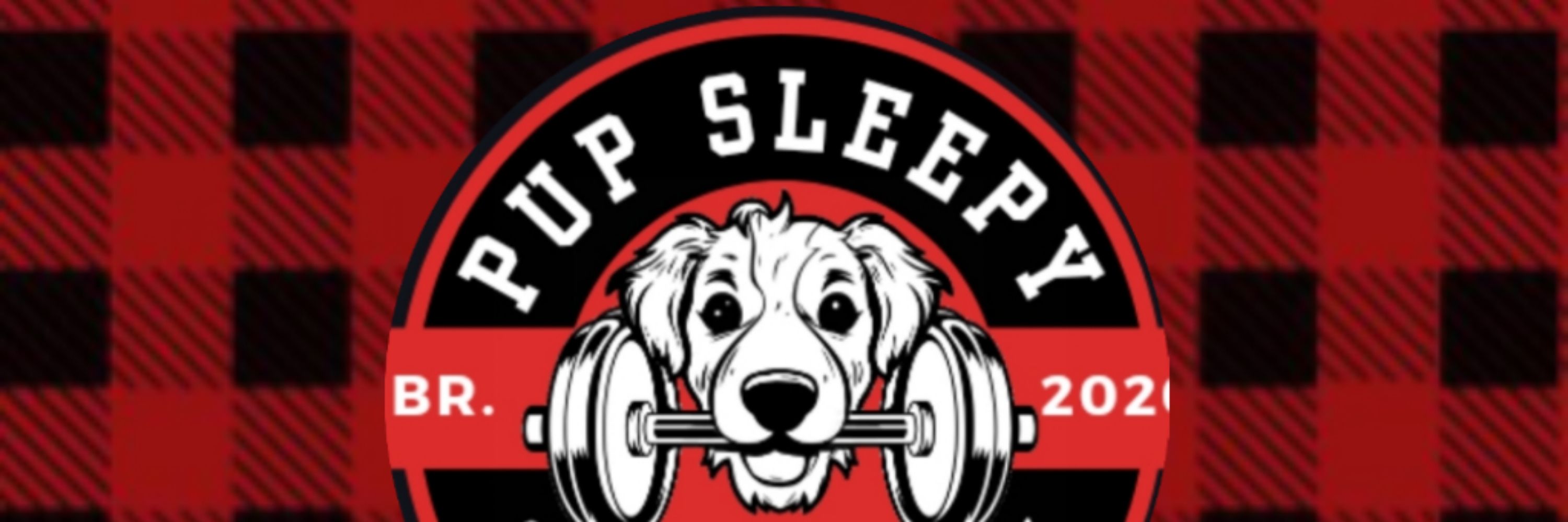Pup Sleepy