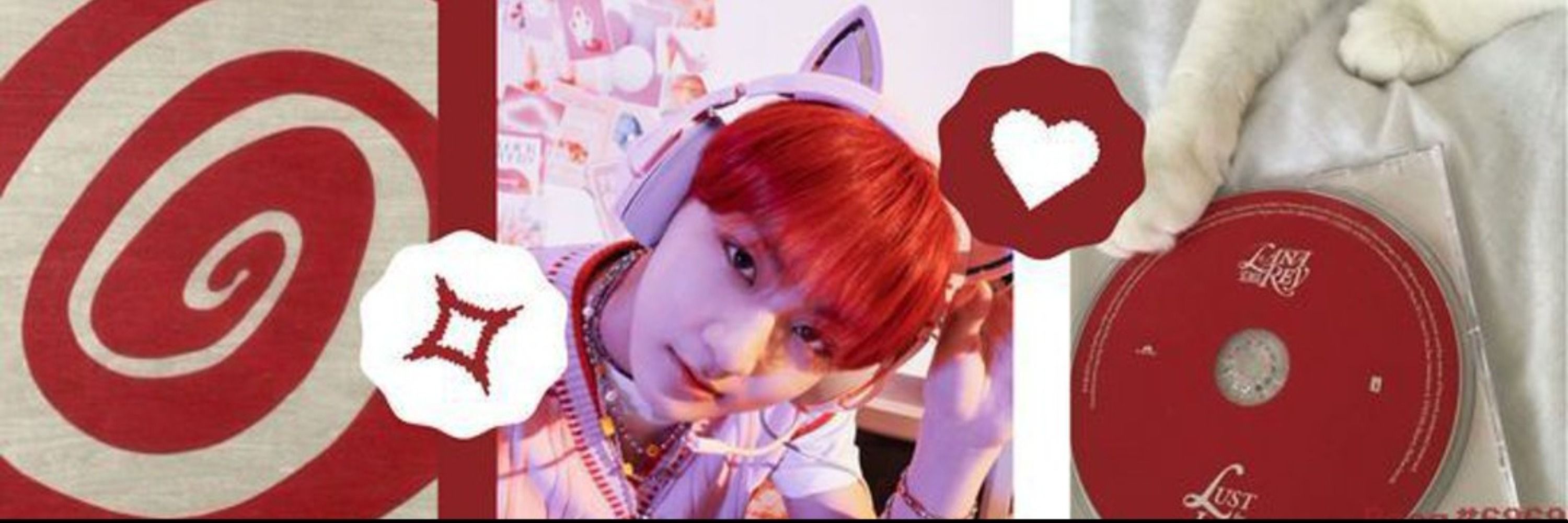 xo, lilica 𖦹 🐈