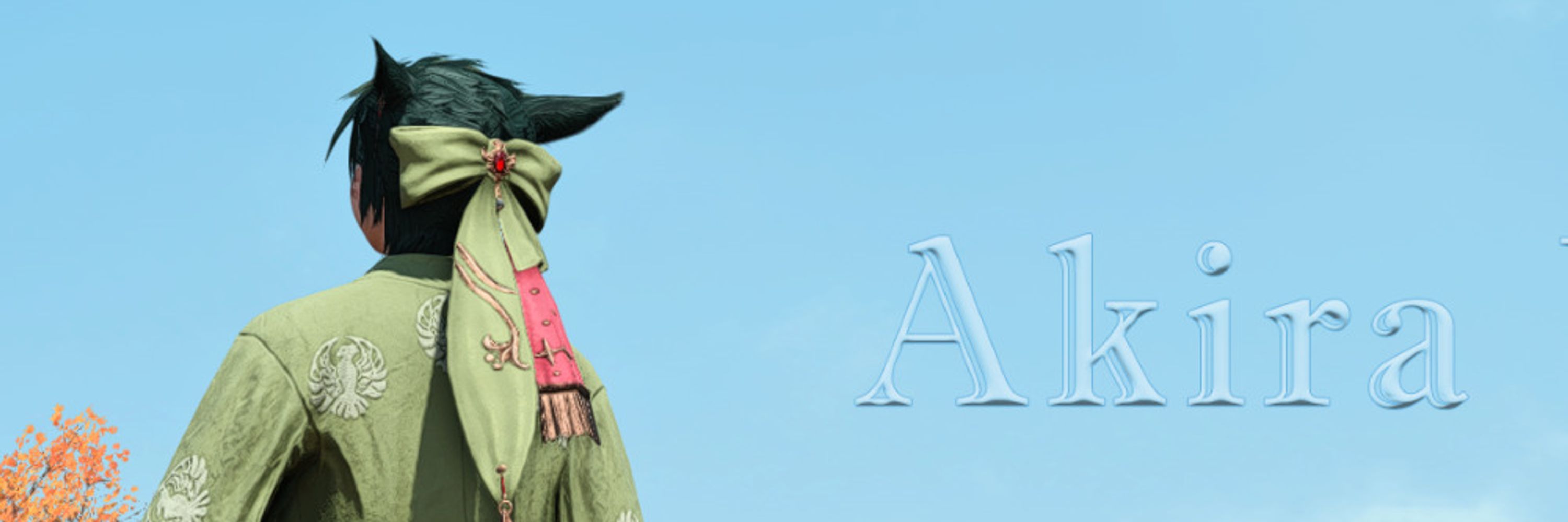 Akira Vay