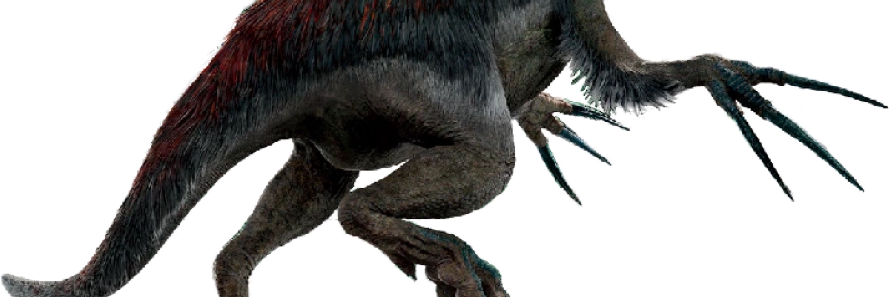 Therixenosaurus