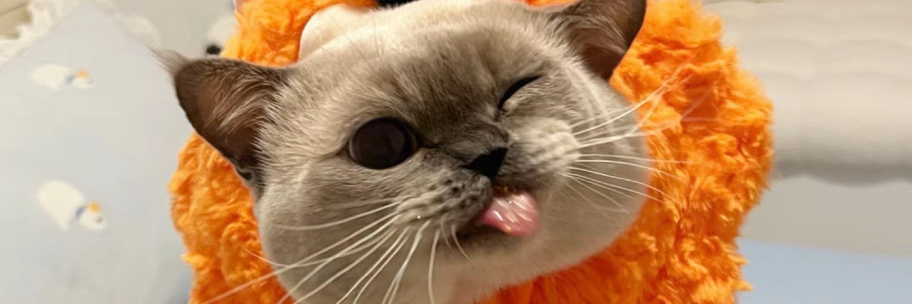 xiù 🖤