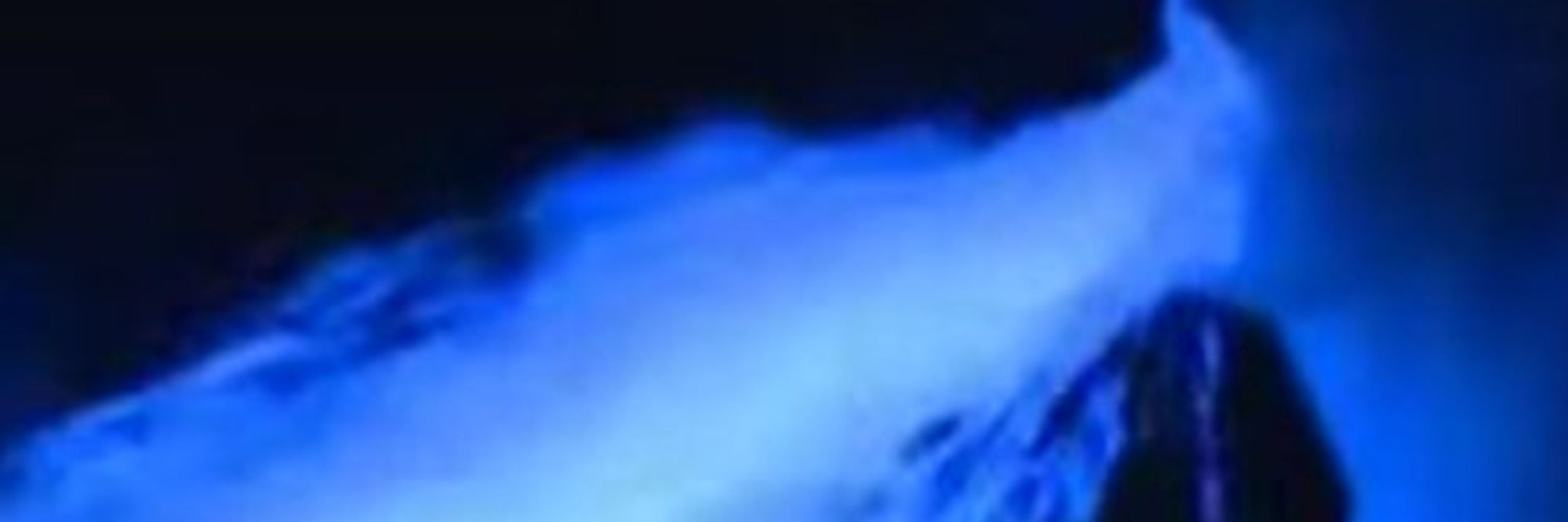 Vomiting Larry