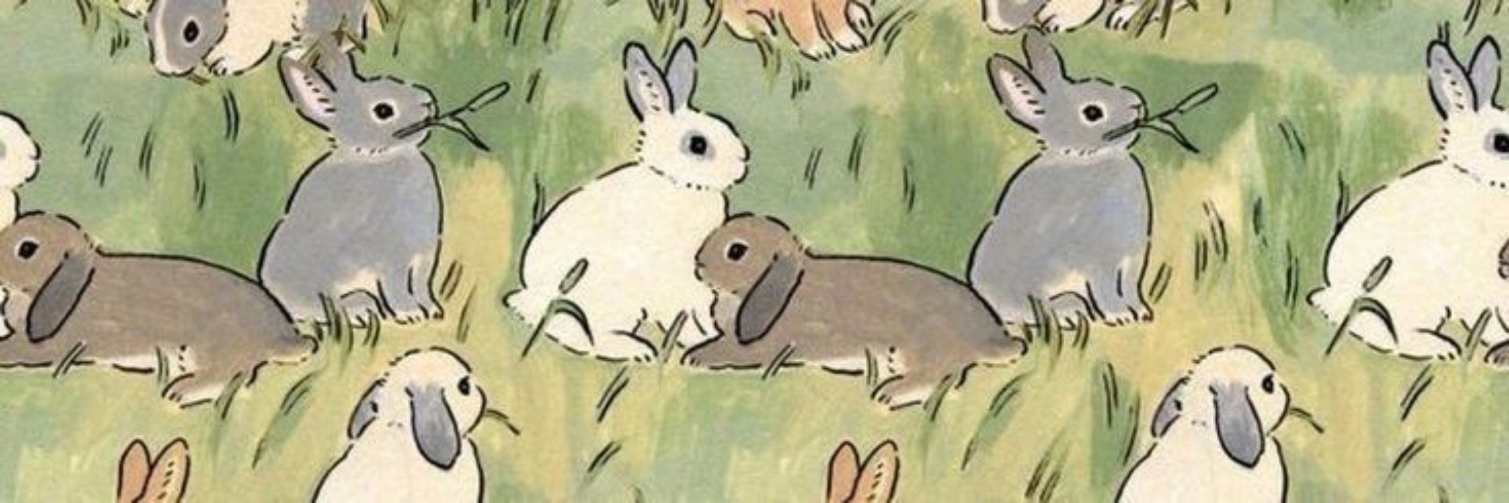 Bunny 