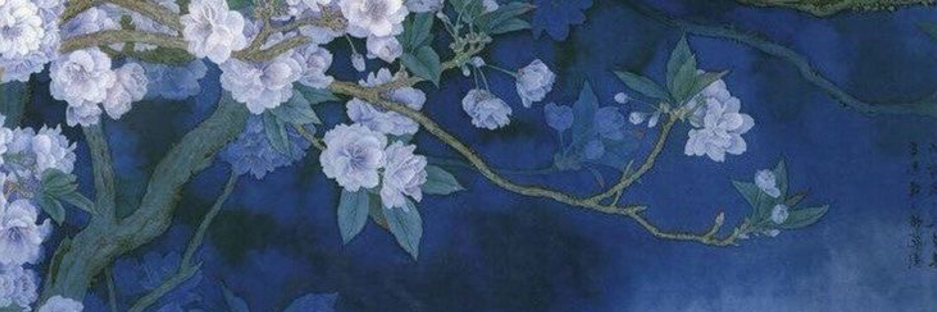 shuyi