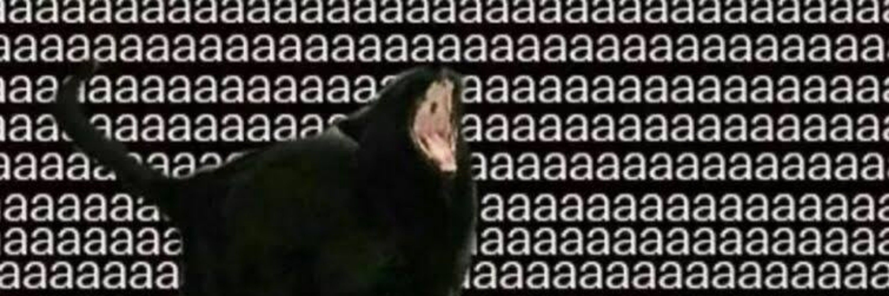Jozuao 