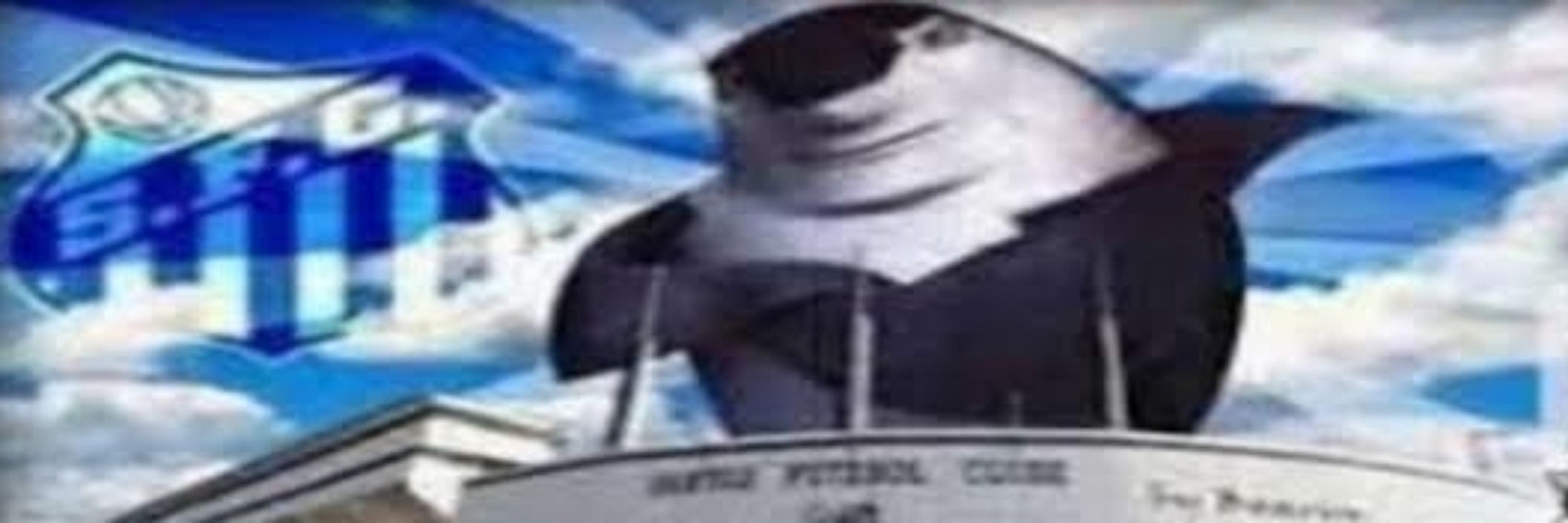 RAFAEL VULGO CAPIVARA