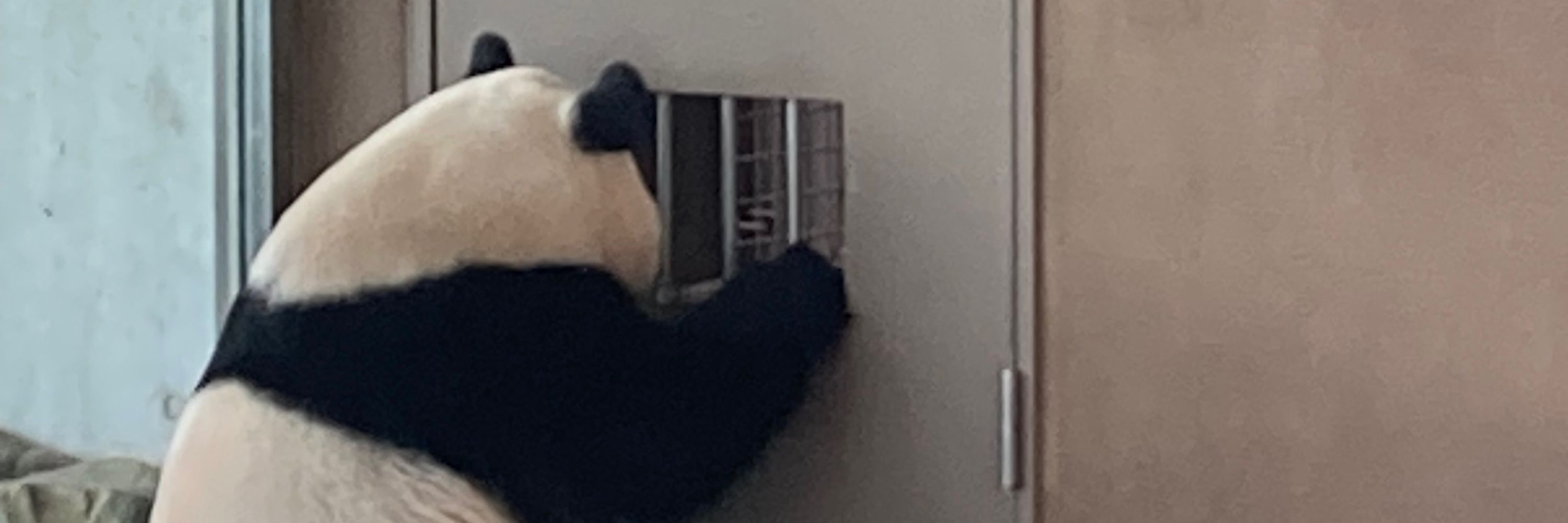 こたこた