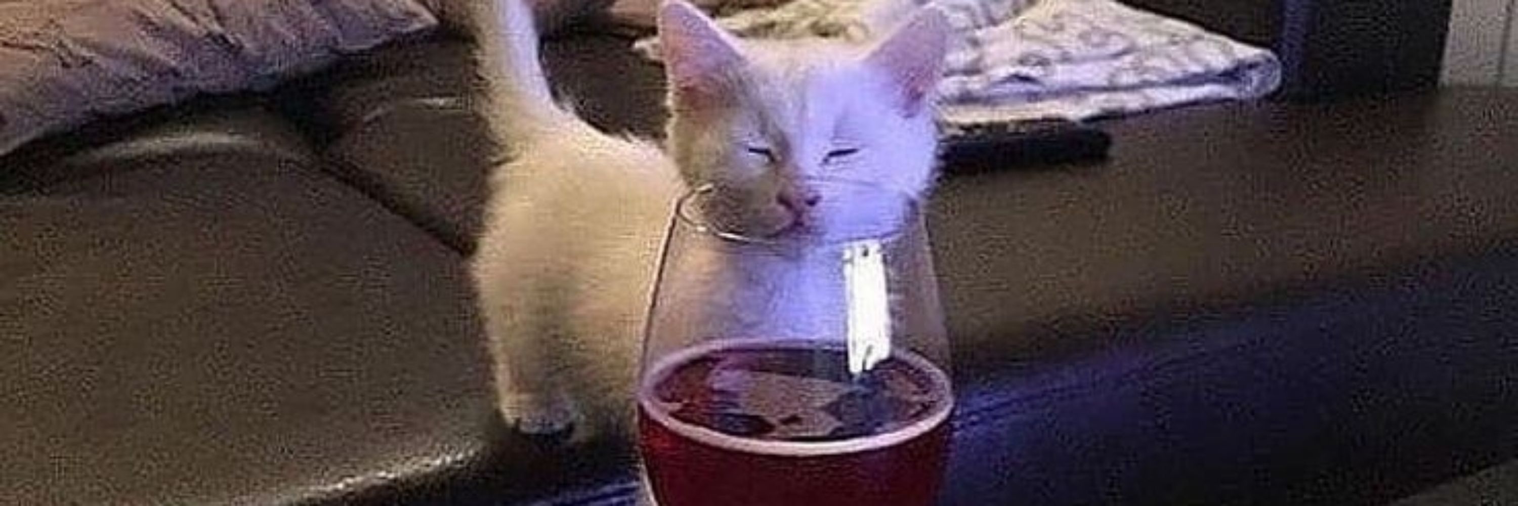 ισα