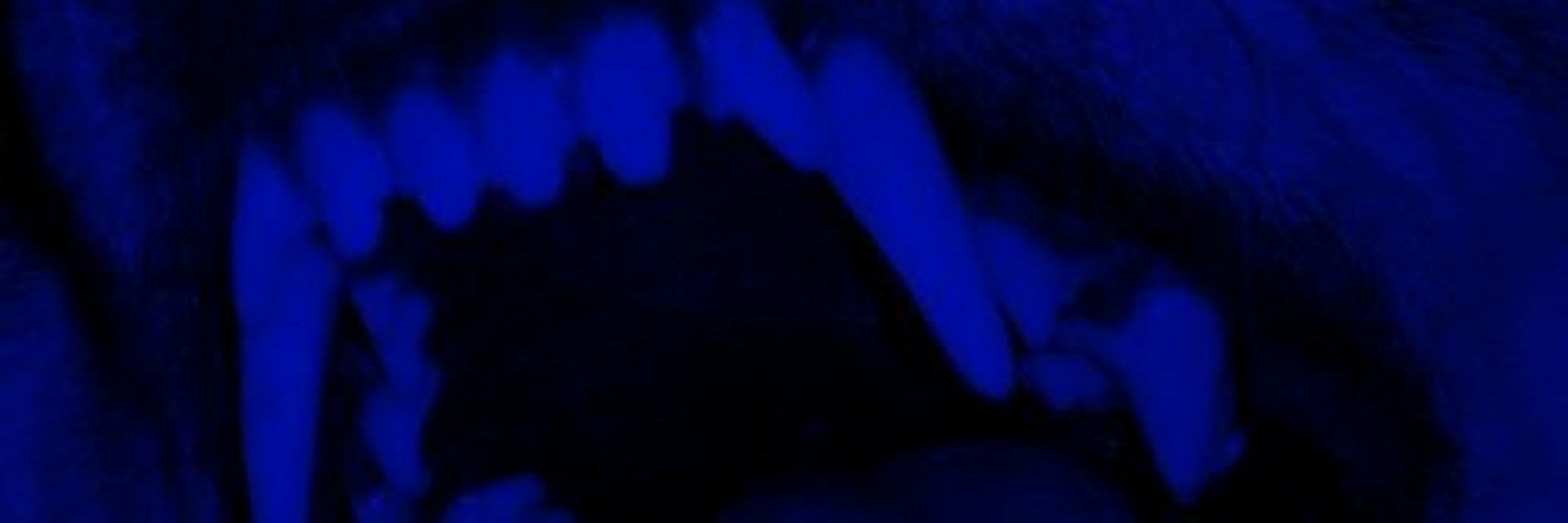 (⁠ʘ⁠ᴗ⁠ʘ⁠✿⁠) cah (⁠☆⁠▽⁠☆⁠) 