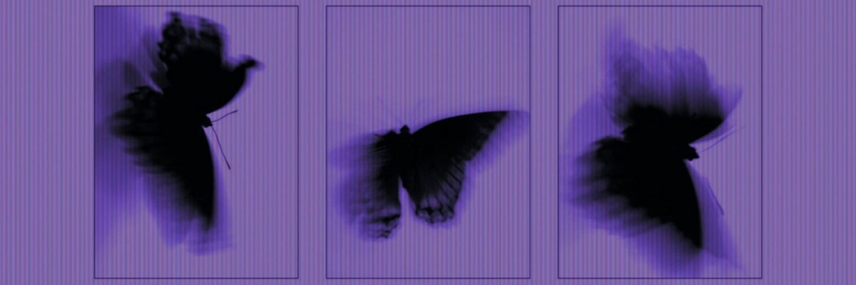 𝚁𝚎𝚒𝚕🪻