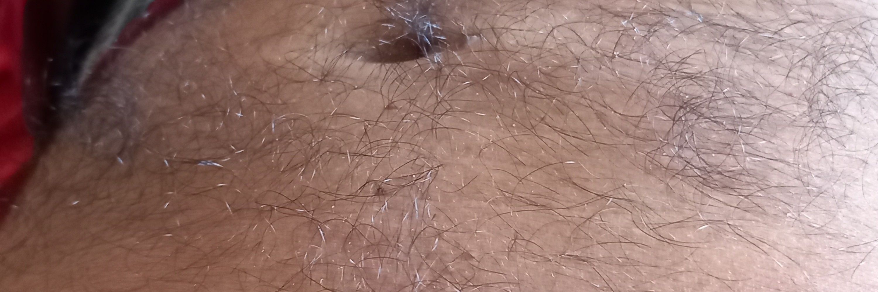 MorenoUDI