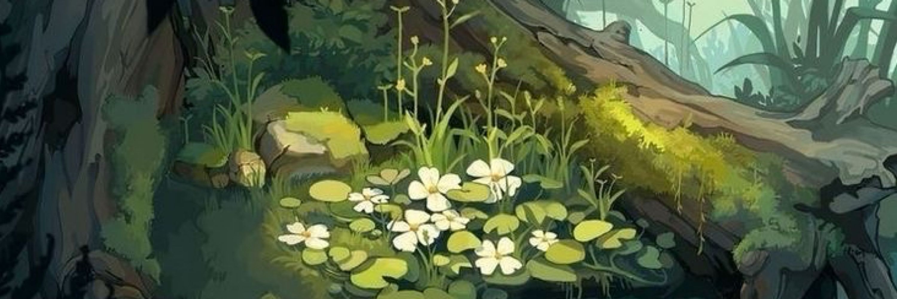 🌱cassy🌱