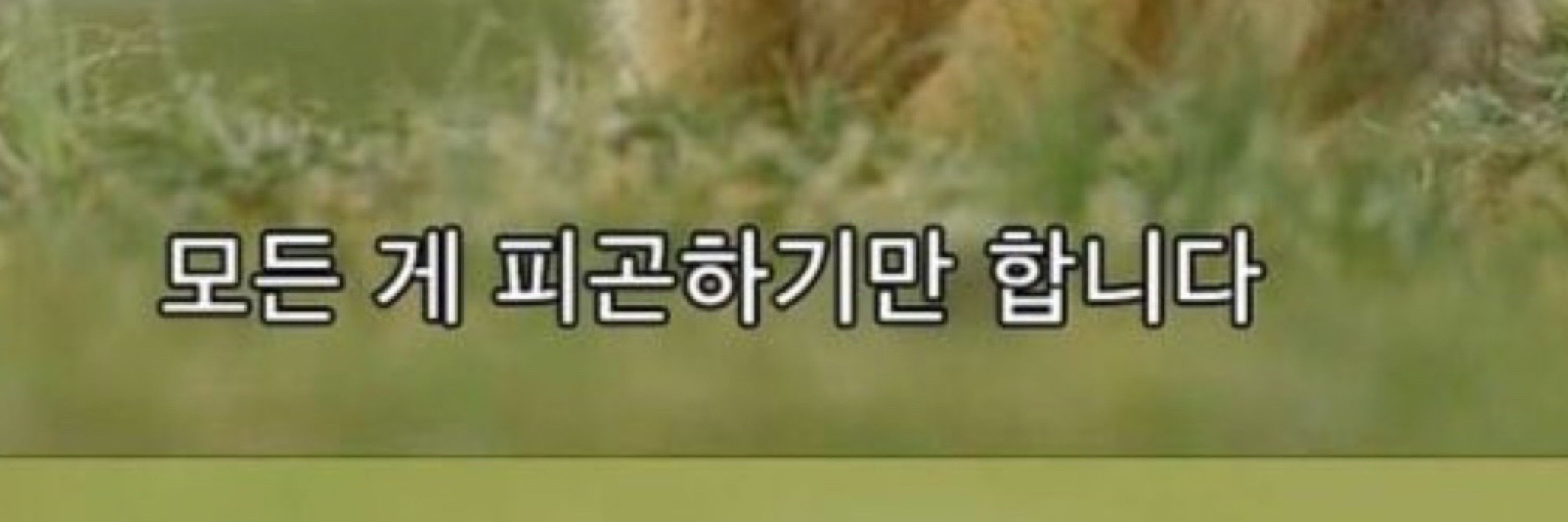 라떼
