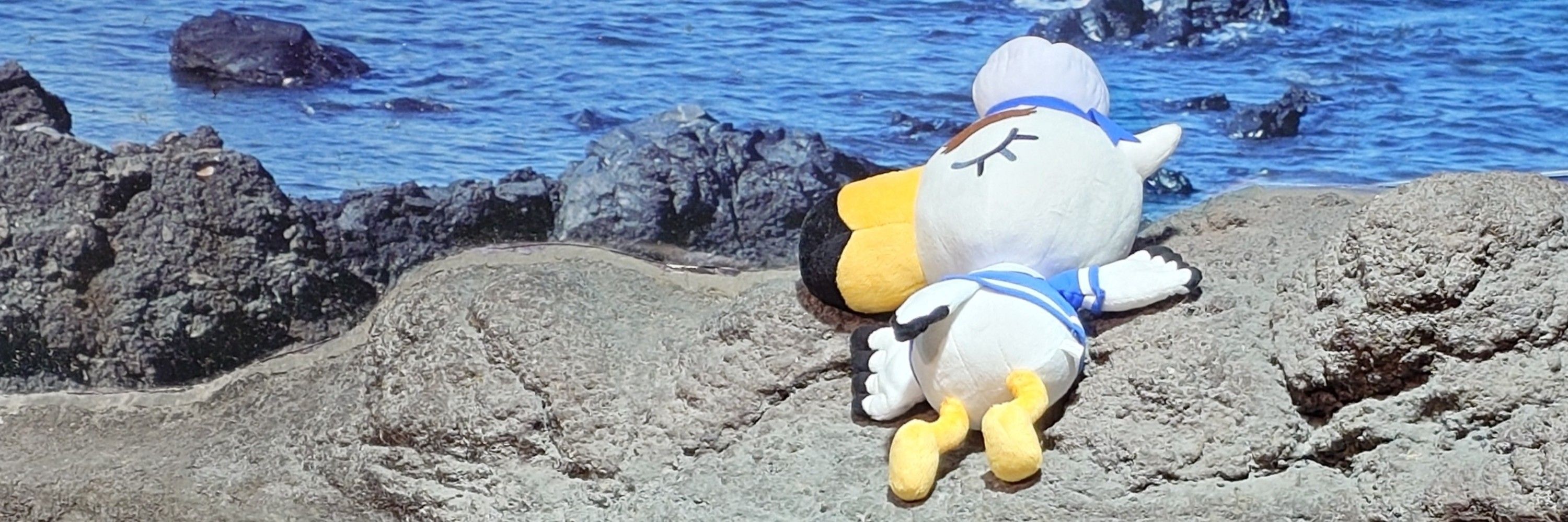 ぷらたすと